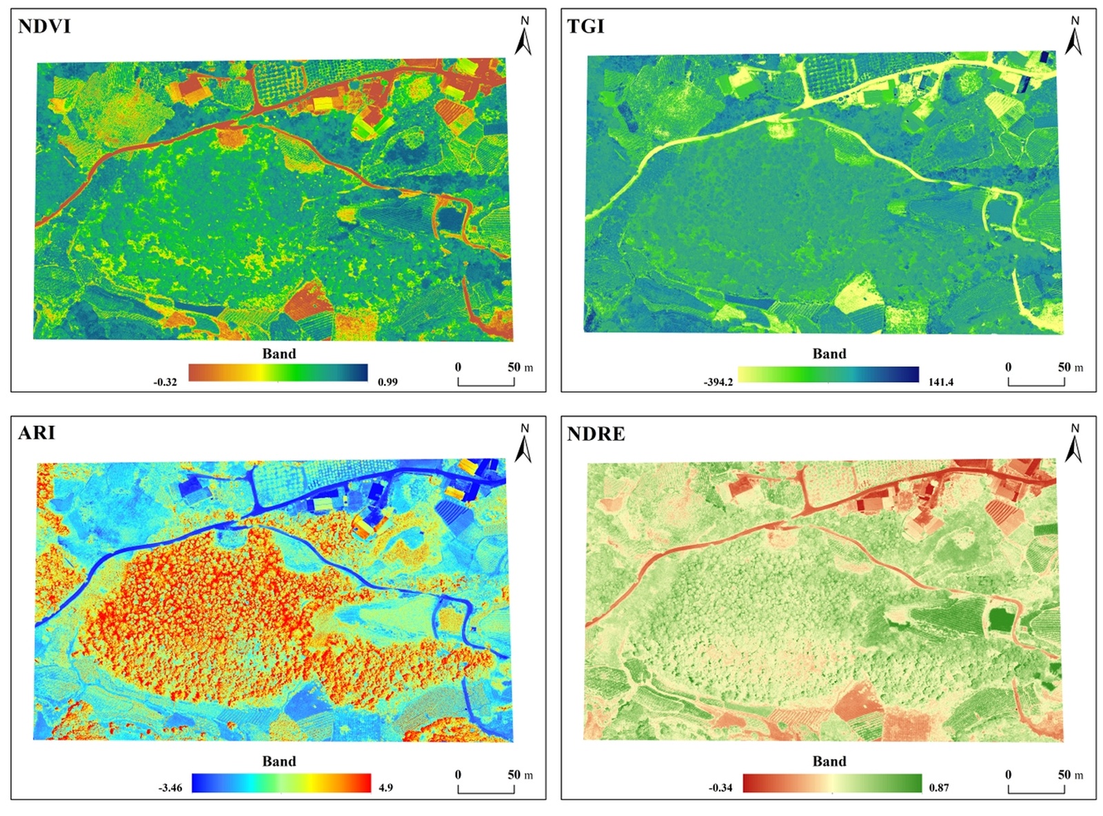 Deteção remota e NDVI